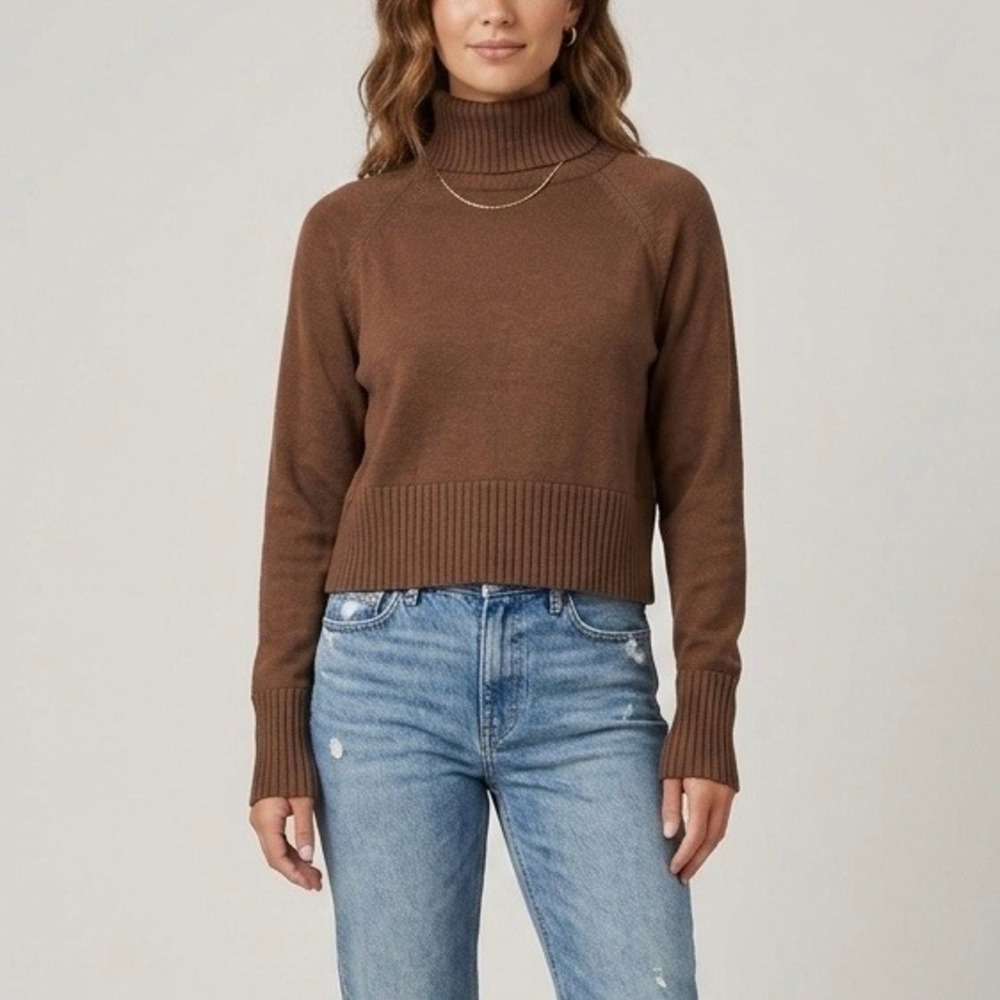Eileen Fisher Merino Wool Jersey Turtleneck Top Sweater Brown Size Small